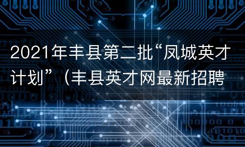 2021年丰县第二批“凤城英才计划”（丰县英才网最新招聘信息官网）