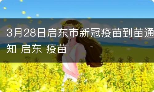 3月28日启东市新冠疫苗到苗通知 启东 疫苗