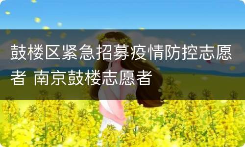鼓楼区紧急招募疫情防控志愿者 南京鼓楼志愿者