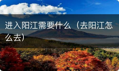进入阳江需要什么（去阳江怎么去）