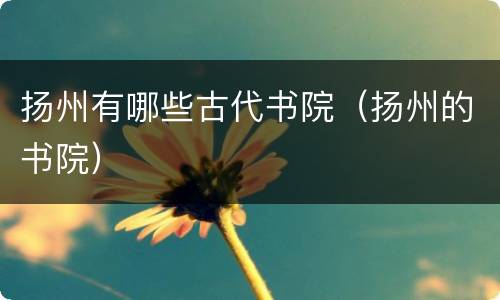 扬州有哪些古代书院（扬州的书院）