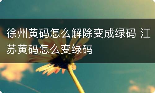 徐州黄码怎么解除变成绿码 江苏黄码怎么变绿码