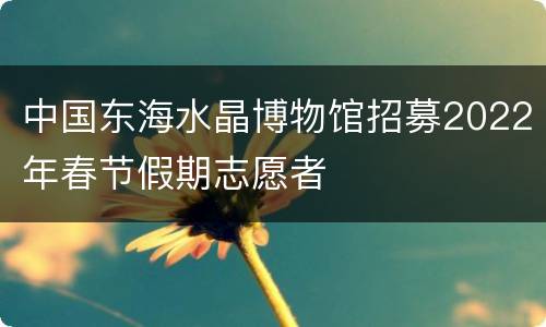 中国东海水晶博物馆招募2022年春节假期志愿者